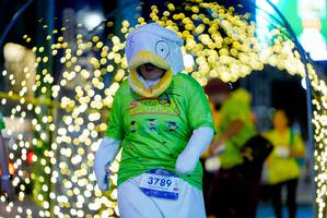 BIB: 3789
                            <button type="button" onclick="openModal(26238405)" class="btn btn-primary btn-sm float-right btn-popup" data-toggle="modal" data-target=".modal-high-quality">
                        <i class="fas fa-shopping-cart"></i> Add to Cart
                    </button>
                                            <button type="button" onclick="isThisMe(26238405, true)" class="btn btn-success btn-sm float-right btn-popup btn-isme hidden" data-toggle="tooltip" data-placement="bottom" title="นี่คือรูปของคุณใช่ไหม คลิกที่นี่เพื่อเอาเข้าอัลบั้ม">
                        <i class="fas fa-plus"></i> Add to album
                    </button>
                    <button type="button" onclick="isThisMe(26238405, false)" class="btn btn-warning btn-sm float-right btn-popup btn-isnotme hidden">
                        <i class="fas fa-ban"></i> Remove from album
                    </button>