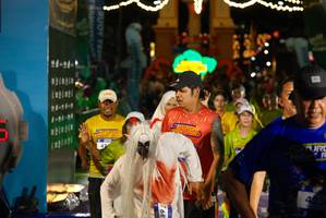 BIB: 423
                            <button type="button" onclick="openModal(26268276)" class="btn btn-primary btn-sm float-right btn-popup" data-toggle="modal" data-target=".modal-high-quality">
                        <i class="fas fa-shopping-cart"></i> Add to Cart
                    </button>
                                            <button type="button" onclick="isThisMe(26268276, true)" class="btn btn-success btn-sm float-right btn-popup btn-isme hidden" data-toggle="tooltip" data-placement="bottom" title="นี่คือรูปของคุณใช่ไหม คลิกที่นี่เพื่อเอาเข้าอัลบั้ม">
                        <i class="fas fa-plus"></i> Add to album
                    </button>
                    <button type="button" onclick="isThisMe(26268276, false)" class="btn btn-warning btn-sm float-right btn-popup btn-isnotme hidden">
                        <i class="fas fa-ban"></i> Remove from album
                    </button>