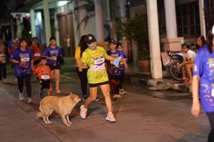 BIB: 3408
                            <button type="button" onclick="openModal(26246329)" class="btn btn-primary btn-sm float-right btn-popup" data-toggle="modal" data-target=".modal-high-quality">
                        <i class="fas fa-shopping-cart"></i> Add to Cart
                    </button>
                                            <button type="button" onclick="isThisMe(26246329, true)" class="btn btn-success btn-sm float-right btn-popup btn-isme hidden" data-toggle="tooltip" data-placement="bottom" title="นี่คือรูปของคุณใช่ไหม คลิกที่นี่เพื่อเอาเข้าอัลบั้ม">
                        <i class="fas fa-plus"></i> Add to album
                    </button>
                    <button type="button" onclick="isThisMe(26246329, false)" class="btn btn-warning btn-sm float-right btn-popup btn-isnotme hidden">
                        <i class="fas fa-ban"></i> Remove from album
                    </button>