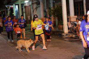 BIB: 3408
                            <button type="button" onclick="openModal(26246311)" class="btn btn-primary btn-sm float-right btn-popup" data-toggle="modal" data-target=".modal-high-quality">
                        <i class="fas fa-shopping-cart"></i> Add to Cart
                    </button>
                                            <button type="button" onclick="isThisMe(26246311, true)" class="btn btn-success btn-sm float-right btn-popup btn-isme hidden" data-toggle="tooltip" data-placement="bottom" title="นี่คือรูปของคุณใช่ไหม คลิกที่นี่เพื่อเอาเข้าอัลบั้ม">
                        <i class="fas fa-plus"></i> Add to album
                    </button>
                    <button type="button" onclick="isThisMe(26246311, false)" class="btn btn-warning btn-sm float-right btn-popup btn-isnotme hidden">
                        <i class="fas fa-ban"></i> Remove from album
                    </button>