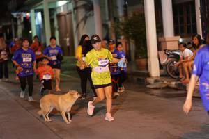 BIB: 3408
                            <button type="button" onclick="openModal(26246326)" class="btn btn-primary btn-sm float-right btn-popup" data-toggle="modal" data-target=".modal-high-quality">
                        <i class="fas fa-shopping-cart"></i> Add to Cart
                    </button>
                                            <button type="button" onclick="isThisMe(26246326, true)" class="btn btn-success btn-sm float-right btn-popup btn-isme hidden" data-toggle="tooltip" data-placement="bottom" title="นี่คือรูปของคุณใช่ไหม คลิกที่นี่เพื่อเอาเข้าอัลบั้ม">
                        <i class="fas fa-plus"></i> Add to album
                    </button>
                    <button type="button" onclick="isThisMe(26246326, false)" class="btn btn-warning btn-sm float-right btn-popup btn-isnotme hidden">
                        <i class="fas fa-ban"></i> Remove from album
                    </button>