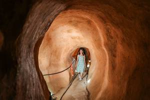 BIB: 
                            <button type="button" onclick="openModal(26247635)" class="btn btn-primary btn-sm float-right btn-popup" data-toggle="modal" data-target=".modal-high-quality">
                        <i class="fas fa-shopping-cart"></i> Add to Cart
                    </button>
                                            <button type="button" onclick="isThisMe(26247635, true)" class="btn btn-success btn-sm float-right btn-popup btn-isme hidden" data-toggle="tooltip" data-placement="bottom" title="นี่คือรูปของคุณใช่ไหม คลิกที่นี่เพื่อเอาเข้าอัลบั้ม">
                        <i class="fas fa-plus"></i> Add to album
                    </button>
                    <button type="button" onclick="isThisMe(26247635, false)" class="btn btn-warning btn-sm float-right btn-popup btn-isnotme hidden">
                        <i class="fas fa-ban"></i> Remove from album
                    </button>