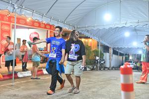 BIB: 3746, 4853
                            <button type="button" onclick="openModal(26253740)" class="btn btn-primary btn-sm float-right btn-popup" data-toggle="modal" data-target=".modal-high-quality">
                        <i class="fas fa-shopping-cart"></i> Add to Cart
                    </button>
                                            <button type="button" onclick="isThisMe(26253740, true)" class="btn btn-success btn-sm float-right btn-popup btn-isme hidden" data-toggle="tooltip" data-placement="bottom" title="นี่คือรูปของคุณใช่ไหม คลิกที่นี่เพื่อเอาเข้าอัลบั้ม">
                        <i class="fas fa-plus"></i> Add to album
                    </button>
                    <button type="button" onclick="isThisMe(26253740, false)" class="btn btn-warning btn-sm float-right btn-popup btn-isnotme hidden">
                        <i class="fas fa-ban"></i> Remove from album
                    </button>