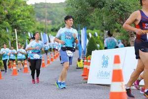 BIB: 
                            <button type="button" onclick="openModal(6192863)" class="btn btn-primary btn-sm float-right btn-popup" data-toggle="modal" data-target=".modal-high-quality">
                        <i class="fas fa-shopping-cart"></i> Add to Cart
                    </button>
                                            <button type="button" onclick="isThisMe(6192863, true)" class="btn btn-success btn-sm float-right btn-popup btn-isme hidden" data-toggle="tooltip" data-placement="bottom" title="นี่คือรูปของคุณใช่ไหม คลิกที่นี่เพื่อเอาเข้าอัลบั้ม">
                        <i class="fas fa-plus"></i> Add to album
                    </button>
                    <button type="button" onclick="isThisMe(6192863, false)" class="btn btn-warning btn-sm float-right btn-popup btn-isnotme hidden">
                        <i class="fas fa-ban"></i> Remove from album
                    </button>