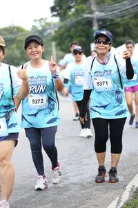 BIB: 5371, 5372
                            <button type="button" onclick="openModal(6204563)" class="btn btn-primary btn-sm float-right btn-popup" data-toggle="modal" data-target=".modal-high-quality">
                        <i class="fas fa-shopping-cart"></i> Add to Cart
                    </button>
                                            <button type="button" onclick="isThisMe(6204563, true)" class="btn btn-success btn-sm float-right btn-popup btn-isme hidden" data-toggle="tooltip" data-placement="bottom" title="นี่คือรูปของคุณใช่ไหม คลิกที่นี่เพื่อเอาเข้าอัลบั้ม">
                        <i class="fas fa-plus"></i> Add to album
                    </button>
                    <button type="button" onclick="isThisMe(6204563, false)" class="btn btn-warning btn-sm float-right btn-popup btn-isnotme hidden">
                        <i class="fas fa-ban"></i> Remove from album
                    </button>