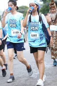 BIB: 5308, 5189, 5292
                            <button type="button" onclick="openModal(6203996)" class="btn btn-primary btn-sm float-right btn-popup" data-toggle="modal" data-target=".modal-high-quality">
                        <i class="fas fa-shopping-cart"></i> Add to Cart
                    </button>
                                            <button type="button" onclick="isThisMe(6203996, true)" class="btn btn-success btn-sm float-right btn-popup btn-isme hidden" data-toggle="tooltip" data-placement="bottom" title="นี่คือรูปของคุณใช่ไหม คลิกที่นี่เพื่อเอาเข้าอัลบั้ม">
                        <i class="fas fa-plus"></i> Add to album
                    </button>
                    <button type="button" onclick="isThisMe(6203996, false)" class="btn btn-warning btn-sm float-right btn-popup btn-isnotme hidden">
                        <i class="fas fa-ban"></i> Remove from album
                    </button>