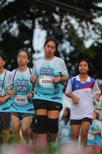 BIB: 6206, 5100
                            <button type="button" onclick="openModal(6176265)" class="btn btn-primary btn-sm float-right btn-popup" data-toggle="modal" data-target=".modal-high-quality">
                        <i class="fas fa-shopping-cart"></i> Add to Cart
                    </button>
                                            <button type="button" onclick="isThisMe(6176265, true)" class="btn btn-success btn-sm float-right btn-popup btn-isme hidden" data-toggle="tooltip" data-placement="bottom" title="นี่คือรูปของคุณใช่ไหม คลิกที่นี่เพื่อเอาเข้าอัลบั้ม">
                        <i class="fas fa-plus"></i> Add to album
                    </button>
                    <button type="button" onclick="isThisMe(6176265, false)" class="btn btn-warning btn-sm float-right btn-popup btn-isnotme hidden">
                        <i class="fas fa-ban"></i> Remove from album
                    </button>