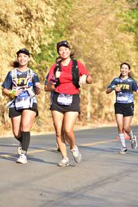 BIB: 
                            <button type="button" onclick="openModal(7155737)" class="btn btn-primary btn-sm float-right btn-popup" data-toggle="modal" data-target=".modal-high-quality">
                        <i class="fas fa-shopping-cart"></i> Add to Cart
                    </button>
                                            <button type="button" onclick="isThisMe(7155737, true)" class="btn btn-success btn-sm float-right btn-popup btn-isme hidden" data-toggle="tooltip" data-placement="bottom" title="นี่คือรูปของคุณใช่ไหม คลิกที่นี่เพื่อเอาเข้าอัลบั้ม">
                        <i class="fas fa-plus"></i> Add to album
                    </button>
                    <button type="button" onclick="isThisMe(7155737, false)" class="btn btn-warning btn-sm float-right btn-popup btn-isnotme hidden">
                        <i class="fas fa-ban"></i> Remove from album
                    </button>