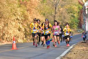 BIB: 
                            <button type="button" onclick="openModal(7155350)" class="btn btn-primary btn-sm float-right btn-popup" data-toggle="modal" data-target=".modal-high-quality">
                        <i class="fas fa-shopping-cart"></i> Add to Cart
                    </button>
                                            <button type="button" onclick="isThisMe(7155350, true)" class="btn btn-success btn-sm float-right btn-popup btn-isme hidden" data-toggle="tooltip" data-placement="bottom" title="นี่คือรูปของคุณใช่ไหม คลิกที่นี่เพื่อเอาเข้าอัลบั้ม">
                        <i class="fas fa-plus"></i> Add to album
                    </button>
                    <button type="button" onclick="isThisMe(7155350, false)" class="btn btn-warning btn-sm float-right btn-popup btn-isnotme hidden">
                        <i class="fas fa-ban"></i> Remove from album
                    </button>