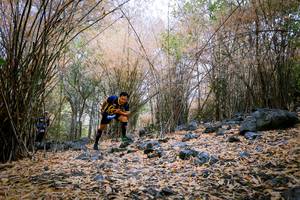 BIB: 
                            <button type="button" onclick="openModal(7222656)" class="btn btn-primary btn-sm float-right btn-popup" data-toggle="modal" data-target=".modal-high-quality">
                        <i class="fas fa-shopping-cart"></i> Add to Cart
                    </button>
                                            <button type="button" onclick="isThisMe(7222656, true)" class="btn btn-success btn-sm float-right btn-popup btn-isme hidden" data-toggle="tooltip" data-placement="bottom" title="นี่คือรูปของคุณใช่ไหม คลิกที่นี่เพื่อเอาเข้าอัลบั้ม">
                        <i class="fas fa-plus"></i> Add to album
                    </button>
                    <button type="button" onclick="isThisMe(7222656, false)" class="btn btn-warning btn-sm float-right btn-popup btn-isnotme hidden">
                        <i class="fas fa-ban"></i> Remove from album
                    </button>