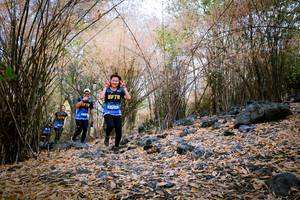 BIB: 
                            <button type="button" onclick="openModal(7222576)" class="btn btn-primary btn-sm float-right btn-popup" data-toggle="modal" data-target=".modal-high-quality">
                        <i class="fas fa-shopping-cart"></i> Add to Cart
                    </button>
                                            <button type="button" onclick="isThisMe(7222576, true)" class="btn btn-success btn-sm float-right btn-popup btn-isme hidden" data-toggle="tooltip" data-placement="bottom" title="นี่คือรูปของคุณใช่ไหม คลิกที่นี่เพื่อเอาเข้าอัลบั้ม">
                        <i class="fas fa-plus"></i> Add to album
                    </button>
                    <button type="button" onclick="isThisMe(7222576, false)" class="btn btn-warning btn-sm float-right btn-popup btn-isnotme hidden">
                        <i class="fas fa-ban"></i> Remove from album
                    </button>