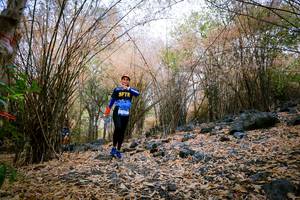 BIB: 
                            <button type="button" onclick="openModal(7221537)" class="btn btn-primary btn-sm float-right btn-popup" data-toggle="modal" data-target=".modal-high-quality">
                        <i class="fas fa-shopping-cart"></i> Add to Cart
                    </button>
                                            <button type="button" onclick="isThisMe(7221537, true)" class="btn btn-success btn-sm float-right btn-popup btn-isme hidden" data-toggle="tooltip" data-placement="bottom" title="นี่คือรูปของคุณใช่ไหม คลิกที่นี่เพื่อเอาเข้าอัลบั้ม">
                        <i class="fas fa-plus"></i> Add to album
                    </button>
                    <button type="button" onclick="isThisMe(7221537, false)" class="btn btn-warning btn-sm float-right btn-popup btn-isnotme hidden">
                        <i class="fas fa-ban"></i> Remove from album
                    </button>