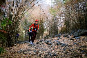 BIB: 
                            <button type="button" onclick="openModal(7222165)" class="btn btn-primary btn-sm float-right btn-popup" data-toggle="modal" data-target=".modal-high-quality">
                        <i class="fas fa-shopping-cart"></i> Add to Cart
                    </button>
                                            <button type="button" onclick="isThisMe(7222165, true)" class="btn btn-success btn-sm float-right btn-popup btn-isme hidden" data-toggle="tooltip" data-placement="bottom" title="นี่คือรูปของคุณใช่ไหม คลิกที่นี่เพื่อเอาเข้าอัลบั้ม">
                        <i class="fas fa-plus"></i> Add to album
                    </button>
                    <button type="button" onclick="isThisMe(7222165, false)" class="btn btn-warning btn-sm float-right btn-popup btn-isnotme hidden">
                        <i class="fas fa-ban"></i> Remove from album
                    </button>