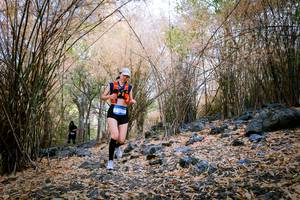 BIB: 
                            <button type="button" onclick="openModal(7222970)" class="btn btn-primary btn-sm float-right btn-popup" data-toggle="modal" data-target=".modal-high-quality">
                        <i class="fas fa-shopping-cart"></i> Add to Cart
                    </button>
                                            <button type="button" onclick="isThisMe(7222970, true)" class="btn btn-success btn-sm float-right btn-popup btn-isme hidden" data-toggle="tooltip" data-placement="bottom" title="นี่คือรูปของคุณใช่ไหม คลิกที่นี่เพื่อเอาเข้าอัลบั้ม">
                        <i class="fas fa-plus"></i> Add to album
                    </button>
                    <button type="button" onclick="isThisMe(7222970, false)" class="btn btn-warning btn-sm float-right btn-popup btn-isnotme hidden">
                        <i class="fas fa-ban"></i> Remove from album
                    </button>