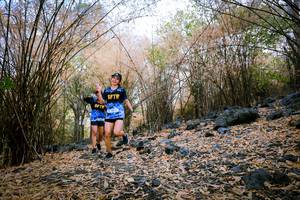 BIB: 
                            <button type="button" onclick="openModal(7221881)" class="btn btn-primary btn-sm float-right btn-popup" data-toggle="modal" data-target=".modal-high-quality">
                        <i class="fas fa-shopping-cart"></i> Add to Cart
                    </button>
                                            <button type="button" onclick="isThisMe(7221881, true)" class="btn btn-success btn-sm float-right btn-popup btn-isme hidden" data-toggle="tooltip" data-placement="bottom" title="นี่คือรูปของคุณใช่ไหม คลิกที่นี่เพื่อเอาเข้าอัลบั้ม">
                        <i class="fas fa-plus"></i> Add to album
                    </button>
                    <button type="button" onclick="isThisMe(7221881, false)" class="btn btn-warning btn-sm float-right btn-popup btn-isnotme hidden">
                        <i class="fas fa-ban"></i> Remove from album
                    </button>