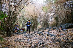 BIB: 
                            <button type="button" onclick="openModal(7223319)" class="btn btn-primary btn-sm float-right btn-popup" data-toggle="modal" data-target=".modal-high-quality">
                        <i class="fas fa-shopping-cart"></i> Add to Cart
                    </button>
                                            <button type="button" onclick="isThisMe(7223319, true)" class="btn btn-success btn-sm float-right btn-popup btn-isme hidden" data-toggle="tooltip" data-placement="bottom" title="นี่คือรูปของคุณใช่ไหม คลิกที่นี่เพื่อเอาเข้าอัลบั้ม">
                        <i class="fas fa-plus"></i> Add to album
                    </button>
                    <button type="button" onclick="isThisMe(7223319, false)" class="btn btn-warning btn-sm float-right btn-popup btn-isnotme hidden">
                        <i class="fas fa-ban"></i> Remove from album
                    </button>