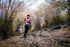 BIB: 
                            <button type="button" onclick="openModal(7221766)" class="btn btn-primary btn-sm float-right btn-popup" data-toggle="modal" data-target=".modal-high-quality">
                        <i class="fas fa-shopping-cart"></i> Add to Cart
                    </button>
                                            <button type="button" onclick="isThisMe(7221766, true)" class="btn btn-success btn-sm float-right btn-popup btn-isme hidden" data-toggle="tooltip" data-placement="bottom" title="นี่คือรูปของคุณใช่ไหม คลิกที่นี่เพื่อเอาเข้าอัลบั้ม">
                        <i class="fas fa-plus"></i> Add to album
                    </button>
                    <button type="button" onclick="isThisMe(7221766, false)" class="btn btn-warning btn-sm float-right btn-popup btn-isnotme hidden">
                        <i class="fas fa-ban"></i> Remove from album
                    </button>