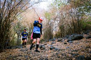 BIB: 
                            <button type="button" onclick="openModal(7222364)" class="btn btn-primary btn-sm float-right btn-popup" data-toggle="modal" data-target=".modal-high-quality">
                        <i class="fas fa-shopping-cart"></i> Add to Cart
                    </button>
                                            <button type="button" onclick="isThisMe(7222364, true)" class="btn btn-success btn-sm float-right btn-popup btn-isme hidden" data-toggle="tooltip" data-placement="bottom" title="นี่คือรูปของคุณใช่ไหม คลิกที่นี่เพื่อเอาเข้าอัลบั้ม">
                        <i class="fas fa-plus"></i> Add to album
                    </button>
                    <button type="button" onclick="isThisMe(7222364, false)" class="btn btn-warning btn-sm float-right btn-popup btn-isnotme hidden">
                        <i class="fas fa-ban"></i> Remove from album
                    </button>