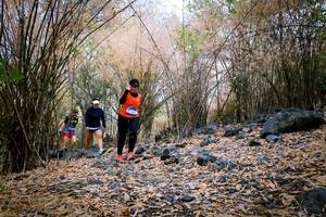 BIB: 
                            <button type="button" onclick="openModal(7222558)" class="btn btn-primary btn-sm float-right btn-popup" data-toggle="modal" data-target=".modal-high-quality">
                        <i class="fas fa-shopping-cart"></i> Add to Cart
                    </button>
                                            <button type="button" onclick="isThisMe(7222558, true)" class="btn btn-success btn-sm float-right btn-popup btn-isme hidden" data-toggle="tooltip" data-placement="bottom" title="นี่คือรูปของคุณใช่ไหม คลิกที่นี่เพื่อเอาเข้าอัลบั้ม">
                        <i class="fas fa-plus"></i> Add to album
                    </button>
                    <button type="button" onclick="isThisMe(7222558, false)" class="btn btn-warning btn-sm float-right btn-popup btn-isnotme hidden">
                        <i class="fas fa-ban"></i> Remove from album
                    </button>