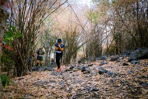 BIB: 
                            <button type="button" onclick="openModal(7222476)" class="btn btn-primary btn-sm float-right btn-popup" data-toggle="modal" data-target=".modal-high-quality">
                        <i class="fas fa-shopping-cart"></i> Add to Cart
                    </button>
                                            <button type="button" onclick="isThisMe(7222476, true)" class="btn btn-success btn-sm float-right btn-popup btn-isme hidden" data-toggle="tooltip" data-placement="bottom" title="นี่คือรูปของคุณใช่ไหม คลิกที่นี่เพื่อเอาเข้าอัลบั้ม">
                        <i class="fas fa-plus"></i> Add to album
                    </button>
                    <button type="button" onclick="isThisMe(7222476, false)" class="btn btn-warning btn-sm float-right btn-popup btn-isnotme hidden">
                        <i class="fas fa-ban"></i> Remove from album
                    </button>