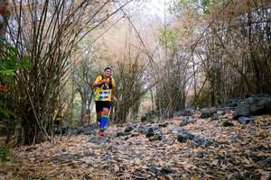 BIB: 
                            <button type="button" onclick="openModal(7222695)" class="btn btn-primary btn-sm float-right btn-popup" data-toggle="modal" data-target=".modal-high-quality">
                        <i class="fas fa-shopping-cart"></i> Add to Cart
                    </button>
                                            <button type="button" onclick="isThisMe(7222695, true)" class="btn btn-success btn-sm float-right btn-popup btn-isme hidden" data-toggle="tooltip" data-placement="bottom" title="นี่คือรูปของคุณใช่ไหม คลิกที่นี่เพื่อเอาเข้าอัลบั้ม">
                        <i class="fas fa-plus"></i> Add to album
                    </button>
                    <button type="button" onclick="isThisMe(7222695, false)" class="btn btn-warning btn-sm float-right btn-popup btn-isnotme hidden">
                        <i class="fas fa-ban"></i> Remove from album
                    </button>