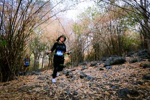 BIB: 
                            <button type="button" onclick="openModal(7221686)" class="btn btn-primary btn-sm float-right btn-popup" data-toggle="modal" data-target=".modal-high-quality">
                        <i class="fas fa-shopping-cart"></i> Add to Cart
                    </button>
                                            <button type="button" onclick="isThisMe(7221686, true)" class="btn btn-success btn-sm float-right btn-popup btn-isme hidden" data-toggle="tooltip" data-placement="bottom" title="นี่คือรูปของคุณใช่ไหม คลิกที่นี่เพื่อเอาเข้าอัลบั้ม">
                        <i class="fas fa-plus"></i> Add to album
                    </button>
                    <button type="button" onclick="isThisMe(7221686, false)" class="btn btn-warning btn-sm float-right btn-popup btn-isnotme hidden">
                        <i class="fas fa-ban"></i> Remove from album
                    </button>