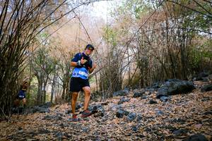 BIB: 
                            <button type="button" onclick="openModal(7222046)" class="btn btn-primary btn-sm float-right btn-popup" data-toggle="modal" data-target=".modal-high-quality">
                        <i class="fas fa-shopping-cart"></i> Add to Cart
                    </button>
                                            <button type="button" onclick="isThisMe(7222046, true)" class="btn btn-success btn-sm float-right btn-popup btn-isme hidden" data-toggle="tooltip" data-placement="bottom" title="นี่คือรูปของคุณใช่ไหม คลิกที่นี่เพื่อเอาเข้าอัลบั้ม">
                        <i class="fas fa-plus"></i> Add to album
                    </button>
                    <button type="button" onclick="isThisMe(7222046, false)" class="btn btn-warning btn-sm float-right btn-popup btn-isnotme hidden">
                        <i class="fas fa-ban"></i> Remove from album
                    </button>