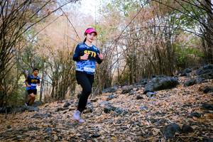 BIB: 
                            <button type="button" onclick="openModal(7222540)" class="btn btn-primary btn-sm float-right btn-popup" data-toggle="modal" data-target=".modal-high-quality">
                        <i class="fas fa-shopping-cart"></i> Add to Cart
                    </button>
                                            <button type="button" onclick="isThisMe(7222540, true)" class="btn btn-success btn-sm float-right btn-popup btn-isme hidden" data-toggle="tooltip" data-placement="bottom" title="นี่คือรูปของคุณใช่ไหม คลิกที่นี่เพื่อเอาเข้าอัลบั้ม">
                        <i class="fas fa-plus"></i> Add to album
                    </button>
                    <button type="button" onclick="isThisMe(7222540, false)" class="btn btn-warning btn-sm float-right btn-popup btn-isnotme hidden">
                        <i class="fas fa-ban"></i> Remove from album
                    </button>