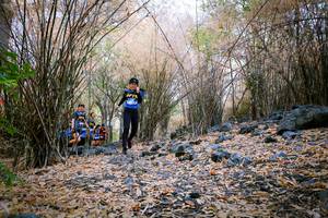 BIB: 
                            <button type="button" onclick="openModal(7223324)" class="btn btn-primary btn-sm float-right btn-popup" data-toggle="modal" data-target=".modal-high-quality">
                        <i class="fas fa-shopping-cart"></i> Add to Cart
                    </button>
                                            <button type="button" onclick="isThisMe(7223324, true)" class="btn btn-success btn-sm float-right btn-popup btn-isme hidden" data-toggle="tooltip" data-placement="bottom" title="นี่คือรูปของคุณใช่ไหม คลิกที่นี่เพื่อเอาเข้าอัลบั้ม">
                        <i class="fas fa-plus"></i> Add to album
                    </button>
                    <button type="button" onclick="isThisMe(7223324, false)" class="btn btn-warning btn-sm float-right btn-popup btn-isnotme hidden">
                        <i class="fas fa-ban"></i> Remove from album
                    </button>