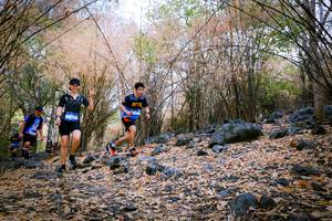 BIB: 
                            <button type="button" onclick="openModal(7222435)" class="btn btn-primary btn-sm float-right btn-popup" data-toggle="modal" data-target=".modal-high-quality">
                        <i class="fas fa-shopping-cart"></i> Add to Cart
                    </button>
                                            <button type="button" onclick="isThisMe(7222435, true)" class="btn btn-success btn-sm float-right btn-popup btn-isme hidden" data-toggle="tooltip" data-placement="bottom" title="นี่คือรูปของคุณใช่ไหม คลิกที่นี่เพื่อเอาเข้าอัลบั้ม">
                        <i class="fas fa-plus"></i> Add to album
                    </button>
                    <button type="button" onclick="isThisMe(7222435, false)" class="btn btn-warning btn-sm float-right btn-popup btn-isnotme hidden">
                        <i class="fas fa-ban"></i> Remove from album
                    </button>