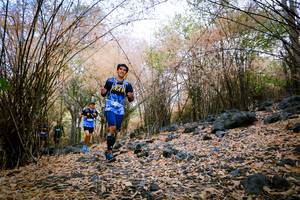 BIB: 
                            <button type="button" onclick="openModal(7221924)" class="btn btn-primary btn-sm float-right btn-popup" data-toggle="modal" data-target=".modal-high-quality">
                        <i class="fas fa-shopping-cart"></i> Add to Cart
                    </button>
                                            <button type="button" onclick="isThisMe(7221924, true)" class="btn btn-success btn-sm float-right btn-popup btn-isme hidden" data-toggle="tooltip" data-placement="bottom" title="นี่คือรูปของคุณใช่ไหม คลิกที่นี่เพื่อเอาเข้าอัลบั้ม">
                        <i class="fas fa-plus"></i> Add to album
                    </button>
                    <button type="button" onclick="isThisMe(7221924, false)" class="btn btn-warning btn-sm float-right btn-popup btn-isnotme hidden">
                        <i class="fas fa-ban"></i> Remove from album
                    </button>