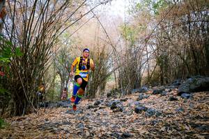 BIB: 
                            <button type="button" onclick="openModal(7222690)" class="btn btn-primary btn-sm float-right btn-popup" data-toggle="modal" data-target=".modal-high-quality">
                        <i class="fas fa-shopping-cart"></i> Add to Cart
                    </button>
                                            <button type="button" onclick="isThisMe(7222690, true)" class="btn btn-success btn-sm float-right btn-popup btn-isme hidden" data-toggle="tooltip" data-placement="bottom" title="นี่คือรูปของคุณใช่ไหม คลิกที่นี่เพื่อเอาเข้าอัลบั้ม">
                        <i class="fas fa-plus"></i> Add to album
                    </button>
                    <button type="button" onclick="isThisMe(7222690, false)" class="btn btn-warning btn-sm float-right btn-popup btn-isnotme hidden">
                        <i class="fas fa-ban"></i> Remove from album
                    </button>