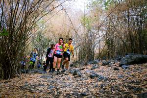 BIB: 
                            <button type="button" onclick="openModal(7222760)" class="btn btn-primary btn-sm float-right btn-popup" data-toggle="modal" data-target=".modal-high-quality">
                        <i class="fas fa-shopping-cart"></i> Add to Cart
                    </button>
                                            <button type="button" onclick="isThisMe(7222760, true)" class="btn btn-success btn-sm float-right btn-popup btn-isme hidden" data-toggle="tooltip" data-placement="bottom" title="นี่คือรูปของคุณใช่ไหม คลิกที่นี่เพื่อเอาเข้าอัลบั้ม">
                        <i class="fas fa-plus"></i> Add to album
                    </button>
                    <button type="button" onclick="isThisMe(7222760, false)" class="btn btn-warning btn-sm float-right btn-popup btn-isnotme hidden">
                        <i class="fas fa-ban"></i> Remove from album
                    </button>