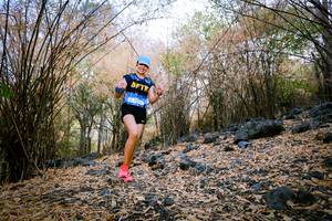 BIB: 
                            <button type="button" onclick="openModal(7221806)" class="btn btn-primary btn-sm float-right btn-popup" data-toggle="modal" data-target=".modal-high-quality">
                        <i class="fas fa-shopping-cart"></i> Add to Cart
                    </button>
                                            <button type="button" onclick="isThisMe(7221806, true)" class="btn btn-success btn-sm float-right btn-popup btn-isme hidden" data-toggle="tooltip" data-placement="bottom" title="นี่คือรูปของคุณใช่ไหม คลิกที่นี่เพื่อเอาเข้าอัลบั้ม">
                        <i class="fas fa-plus"></i> Add to album
                    </button>
                    <button type="button" onclick="isThisMe(7221806, false)" class="btn btn-warning btn-sm float-right btn-popup btn-isnotme hidden">
                        <i class="fas fa-ban"></i> Remove from album
                    </button>