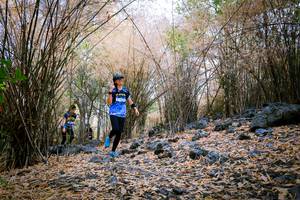 BIB: 
                            <button type="button" onclick="openModal(7222888)" class="btn btn-primary btn-sm float-right btn-popup" data-toggle="modal" data-target=".modal-high-quality">
                        <i class="fas fa-shopping-cart"></i> Add to Cart
                    </button>
                                            <button type="button" onclick="isThisMe(7222888, true)" class="btn btn-success btn-sm float-right btn-popup btn-isme hidden" data-toggle="tooltip" data-placement="bottom" title="นี่คือรูปของคุณใช่ไหม คลิกที่นี่เพื่อเอาเข้าอัลบั้ม">
                        <i class="fas fa-plus"></i> Add to album
                    </button>
                    <button type="button" onclick="isThisMe(7222888, false)" class="btn btn-warning btn-sm float-right btn-popup btn-isnotme hidden">
                        <i class="fas fa-ban"></i> Remove from album
                    </button>