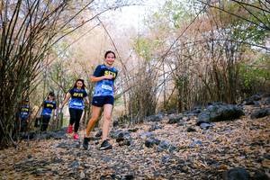 BIB: 
                            <button type="button" onclick="openModal(7223420)" class="btn btn-primary btn-sm float-right btn-popup" data-toggle="modal" data-target=".modal-high-quality">
                        <i class="fas fa-shopping-cart"></i> Add to Cart
                    </button>
                                            <button type="button" onclick="isThisMe(7223420, true)" class="btn btn-success btn-sm float-right btn-popup btn-isme hidden" data-toggle="tooltip" data-placement="bottom" title="นี่คือรูปของคุณใช่ไหม คลิกที่นี่เพื่อเอาเข้าอัลบั้ม">
                        <i class="fas fa-plus"></i> Add to album
                    </button>
                    <button type="button" onclick="isThisMe(7223420, false)" class="btn btn-warning btn-sm float-right btn-popup btn-isnotme hidden">
                        <i class="fas fa-ban"></i> Remove from album
                    </button>