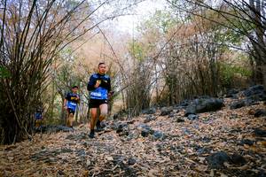 BIB: 
                            <button type="button" onclick="openModal(7221846)" class="btn btn-primary btn-sm float-right btn-popup" data-toggle="modal" data-target=".modal-high-quality">
                        <i class="fas fa-shopping-cart"></i> Add to Cart
                    </button>
                                            <button type="button" onclick="isThisMe(7221846, true)" class="btn btn-success btn-sm float-right btn-popup btn-isme hidden" data-toggle="tooltip" data-placement="bottom" title="นี่คือรูปของคุณใช่ไหม คลิกที่นี่เพื่อเอาเข้าอัลบั้ม">
                        <i class="fas fa-plus"></i> Add to album
                    </button>
                    <button type="button" onclick="isThisMe(7221846, false)" class="btn btn-warning btn-sm float-right btn-popup btn-isnotme hidden">
                        <i class="fas fa-ban"></i> Remove from album
                    </button>