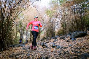 BIB: 
                            <button type="button" onclick="openModal(7223102)" class="btn btn-primary btn-sm float-right btn-popup" data-toggle="modal" data-target=".modal-high-quality">
                        <i class="fas fa-shopping-cart"></i> Add to Cart
                    </button>
                                            <button type="button" onclick="isThisMe(7223102, true)" class="btn btn-success btn-sm float-right btn-popup btn-isme hidden" data-toggle="tooltip" data-placement="bottom" title="นี่คือรูปของคุณใช่ไหม คลิกที่นี่เพื่อเอาเข้าอัลบั้ม">
                        <i class="fas fa-plus"></i> Add to album
                    </button>
                    <button type="button" onclick="isThisMe(7223102, false)" class="btn btn-warning btn-sm float-right btn-popup btn-isnotme hidden">
                        <i class="fas fa-ban"></i> Remove from album
                    </button>