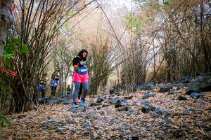 BIB: 
                            <button type="button" onclick="openModal(7223597)" class="btn btn-primary btn-sm float-right btn-popup" data-toggle="modal" data-target=".modal-high-quality">
                        <i class="fas fa-shopping-cart"></i> Add to Cart
                    </button>
                                            <button type="button" onclick="isThisMe(7223597, true)" class="btn btn-success btn-sm float-right btn-popup btn-isme hidden" data-toggle="tooltip" data-placement="bottom" title="นี่คือรูปของคุณใช่ไหม คลิกที่นี่เพื่อเอาเข้าอัลบั้ม">
                        <i class="fas fa-plus"></i> Add to album
                    </button>
                    <button type="button" onclick="isThisMe(7223597, false)" class="btn btn-warning btn-sm float-right btn-popup btn-isnotme hidden">
                        <i class="fas fa-ban"></i> Remove from album
                    </button>