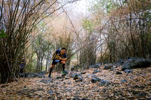 BIB: 
                            <button type="button" onclick="openModal(7222653)" class="btn btn-primary btn-sm float-right btn-popup" data-toggle="modal" data-target=".modal-high-quality">
                        <i class="fas fa-shopping-cart"></i> Add to Cart
                    </button>
                                            <button type="button" onclick="isThisMe(7222653, true)" class="btn btn-success btn-sm float-right btn-popup btn-isme hidden" data-toggle="tooltip" data-placement="bottom" title="นี่คือรูปของคุณใช่ไหม คลิกที่นี่เพื่อเอาเข้าอัลบั้ม">
                        <i class="fas fa-plus"></i> Add to album
                    </button>
                    <button type="button" onclick="isThisMe(7222653, false)" class="btn btn-warning btn-sm float-right btn-popup btn-isnotme hidden">
                        <i class="fas fa-ban"></i> Remove from album
                    </button>