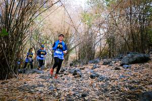 BIB: 
                            <button type="button" onclick="openModal(7223151)" class="btn btn-primary btn-sm float-right btn-popup" data-toggle="modal" data-target=".modal-high-quality">
                        <i class="fas fa-shopping-cart"></i> Add to Cart
                    </button>
                                            <button type="button" onclick="isThisMe(7223151, true)" class="btn btn-success btn-sm float-right btn-popup btn-isme hidden" data-toggle="tooltip" data-placement="bottom" title="นี่คือรูปของคุณใช่ไหม คลิกที่นี่เพื่อเอาเข้าอัลบั้ม">
                        <i class="fas fa-plus"></i> Add to album
                    </button>
                    <button type="button" onclick="isThisMe(7223151, false)" class="btn btn-warning btn-sm float-right btn-popup btn-isnotme hidden">
                        <i class="fas fa-ban"></i> Remove from album
                    </button>