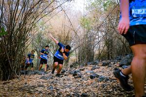 BIB: 
                            <button type="button" onclick="openModal(7222640)" class="btn btn-primary btn-sm float-right btn-popup" data-toggle="modal" data-target=".modal-high-quality">
                        <i class="fas fa-shopping-cart"></i> Add to Cart
                    </button>
                                            <button type="button" onclick="isThisMe(7222640, true)" class="btn btn-success btn-sm float-right btn-popup btn-isme hidden" data-toggle="tooltip" data-placement="bottom" title="นี่คือรูปของคุณใช่ไหม คลิกที่นี่เพื่อเอาเข้าอัลบั้ม">
                        <i class="fas fa-plus"></i> Add to album
                    </button>
                    <button type="button" onclick="isThisMe(7222640, false)" class="btn btn-warning btn-sm float-right btn-popup btn-isnotme hidden">
                        <i class="fas fa-ban"></i> Remove from album
                    </button>