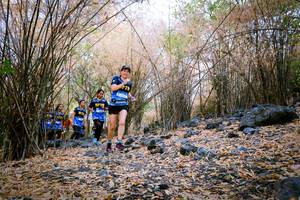 BIB: 
                            <button type="button" onclick="openModal(7223337)" class="btn btn-primary btn-sm float-right btn-popup" data-toggle="modal" data-target=".modal-high-quality">
                        <i class="fas fa-shopping-cart"></i> Add to Cart
                    </button>
                                            <button type="button" onclick="isThisMe(7223337, true)" class="btn btn-success btn-sm float-right btn-popup btn-isme hidden" data-toggle="tooltip" data-placement="bottom" title="นี่คือรูปของคุณใช่ไหม คลิกที่นี่เพื่อเอาเข้าอัลบั้ม">
                        <i class="fas fa-plus"></i> Add to album
                    </button>
                    <button type="button" onclick="isThisMe(7223337, false)" class="btn btn-warning btn-sm float-right btn-popup btn-isnotme hidden">
                        <i class="fas fa-ban"></i> Remove from album
                    </button>