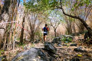 BIB: 
                            <button type="button" onclick="openModal(7224668)" class="btn btn-primary btn-sm float-right btn-popup" data-toggle="modal" data-target=".modal-high-quality">
                        <i class="fas fa-shopping-cart"></i> Add to Cart
                    </button>
                                            <button type="button" onclick="isThisMe(7224668, true)" class="btn btn-success btn-sm float-right btn-popup btn-isme hidden" data-toggle="tooltip" data-placement="bottom" title="นี่คือรูปของคุณใช่ไหม คลิกที่นี่เพื่อเอาเข้าอัลบั้ม">
                        <i class="fas fa-plus"></i> Add to album
                    </button>
                    <button type="button" onclick="isThisMe(7224668, false)" class="btn btn-warning btn-sm float-right btn-popup btn-isnotme hidden">
                        <i class="fas fa-ban"></i> Remove from album
                    </button>