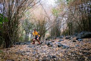 BIB: 
                            <button type="button" onclick="openModal(7222685)" class="btn btn-primary btn-sm float-right btn-popup" data-toggle="modal" data-target=".modal-high-quality">
                        <i class="fas fa-shopping-cart"></i> Add to Cart
                    </button>
                                            <button type="button" onclick="isThisMe(7222685, true)" class="btn btn-success btn-sm float-right btn-popup btn-isme hidden" data-toggle="tooltip" data-placement="bottom" title="นี่คือรูปของคุณใช่ไหม คลิกที่นี่เพื่อเอาเข้าอัลบั้ม">
                        <i class="fas fa-plus"></i> Add to album
                    </button>
                    <button type="button" onclick="isThisMe(7222685, false)" class="btn btn-warning btn-sm float-right btn-popup btn-isnotme hidden">
                        <i class="fas fa-ban"></i> Remove from album
                    </button>