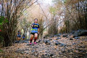 BIB: 
                            <button type="button" onclick="openModal(7223064)" class="btn btn-primary btn-sm float-right btn-popup" data-toggle="modal" data-target=".modal-high-quality">
                        <i class="fas fa-shopping-cart"></i> Add to Cart
                    </button>
                                            <button type="button" onclick="isThisMe(7223064, true)" class="btn btn-success btn-sm float-right btn-popup btn-isme hidden" data-toggle="tooltip" data-placement="bottom" title="นี่คือรูปของคุณใช่ไหม คลิกที่นี่เพื่อเอาเข้าอัลบั้ม">
                        <i class="fas fa-plus"></i> Add to album
                    </button>
                    <button type="button" onclick="isThisMe(7223064, false)" class="btn btn-warning btn-sm float-right btn-popup btn-isnotme hidden">
                        <i class="fas fa-ban"></i> Remove from album
                    </button>