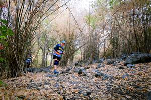 BIB: 
                            <button type="button" onclick="openModal(7223929)" class="btn btn-primary btn-sm float-right btn-popup" data-toggle="modal" data-target=".modal-high-quality">
                        <i class="fas fa-shopping-cart"></i> Add to Cart
                    </button>
                                            <button type="button" onclick="isThisMe(7223929, true)" class="btn btn-success btn-sm float-right btn-popup btn-isme hidden" data-toggle="tooltip" data-placement="bottom" title="นี่คือรูปของคุณใช่ไหม คลิกที่นี่เพื่อเอาเข้าอัลบั้ม">
                        <i class="fas fa-plus"></i> Add to album
                    </button>
                    <button type="button" onclick="isThisMe(7223929, false)" class="btn btn-warning btn-sm float-right btn-popup btn-isnotme hidden">
                        <i class="fas fa-ban"></i> Remove from album
                    </button>