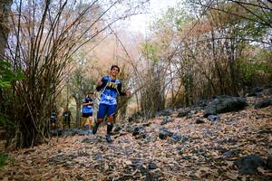 BIB: 
                            <button type="button" onclick="openModal(7221923)" class="btn btn-primary btn-sm float-right btn-popup" data-toggle="modal" data-target=".modal-high-quality">
                        <i class="fas fa-shopping-cart"></i> Add to Cart
                    </button>
                                            <button type="button" onclick="isThisMe(7221923, true)" class="btn btn-success btn-sm float-right btn-popup btn-isme hidden" data-toggle="tooltip" data-placement="bottom" title="นี่คือรูปของคุณใช่ไหม คลิกที่นี่เพื่อเอาเข้าอัลบั้ม">
                        <i class="fas fa-plus"></i> Add to album
                    </button>
                    <button type="button" onclick="isThisMe(7221923, false)" class="btn btn-warning btn-sm float-right btn-popup btn-isnotme hidden">
                        <i class="fas fa-ban"></i> Remove from album
                    </button>