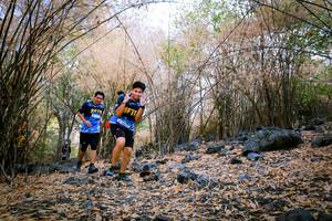 BIB: 
                            <button type="button" onclick="openModal(7222645)" class="btn btn-primary btn-sm float-right btn-popup" data-toggle="modal" data-target=".modal-high-quality">
                        <i class="fas fa-shopping-cart"></i> Add to Cart
                    </button>
                                            <button type="button" onclick="isThisMe(7222645, true)" class="btn btn-success btn-sm float-right btn-popup btn-isme hidden" data-toggle="tooltip" data-placement="bottom" title="นี่คือรูปของคุณใช่ไหม คลิกที่นี่เพื่อเอาเข้าอัลบั้ม">
                        <i class="fas fa-plus"></i> Add to album
                    </button>
                    <button type="button" onclick="isThisMe(7222645, false)" class="btn btn-warning btn-sm float-right btn-popup btn-isnotme hidden">
                        <i class="fas fa-ban"></i> Remove from album
                    </button>