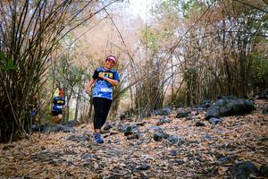 BIB: 
                            <button type="button" onclick="openModal(7222402)" class="btn btn-primary btn-sm float-right btn-popup" data-toggle="modal" data-target=".modal-high-quality">
                        <i class="fas fa-shopping-cart"></i> Add to Cart
                    </button>
                                            <button type="button" onclick="isThisMe(7222402, true)" class="btn btn-success btn-sm float-right btn-popup btn-isme hidden" data-toggle="tooltip" data-placement="bottom" title="นี่คือรูปของคุณใช่ไหม คลิกที่นี่เพื่อเอาเข้าอัลบั้ม">
                        <i class="fas fa-plus"></i> Add to album
                    </button>
                    <button type="button" onclick="isThisMe(7222402, false)" class="btn btn-warning btn-sm float-right btn-popup btn-isnotme hidden">
                        <i class="fas fa-ban"></i> Remove from album
                    </button>